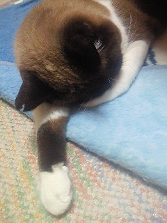 雷は。