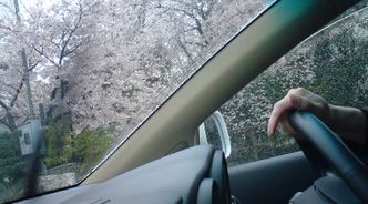 報告