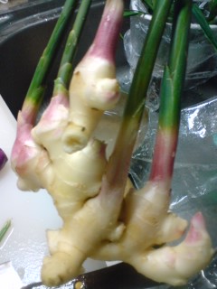 食欲