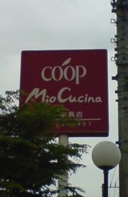 9日目