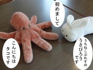 妄想ポスター。