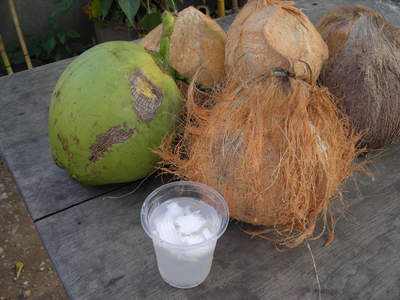 椰子の実ジュース