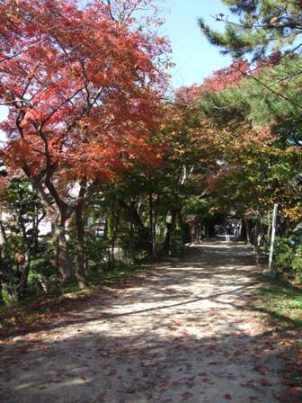 京都★ｹﾞｽﾄﾊｳｽ★紅葉