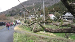 湖西連峰