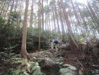 秋葉山