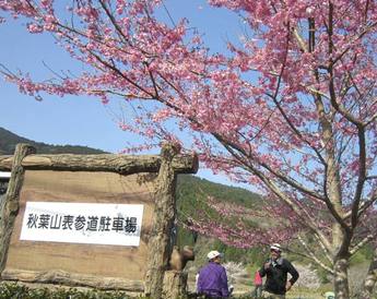 秋葉山