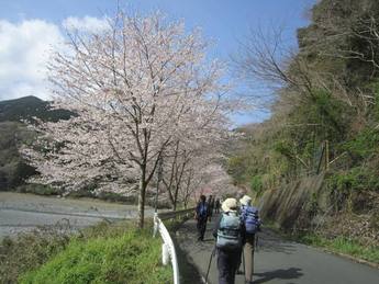 秋葉山