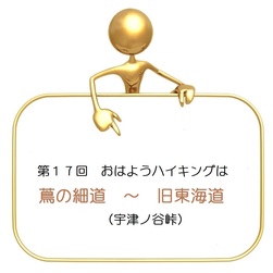 蔦の細道を歩きます