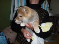 まゆちゃん元気です!