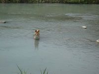 まゆちゃん元気です!