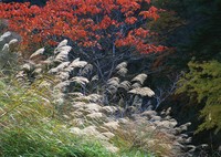 2012年10月11日