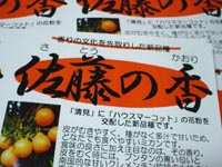 佐藤の香
