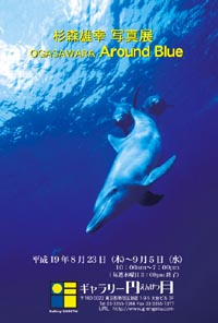 杉森雄幸写真展 「OGASAWARA Around Blue」