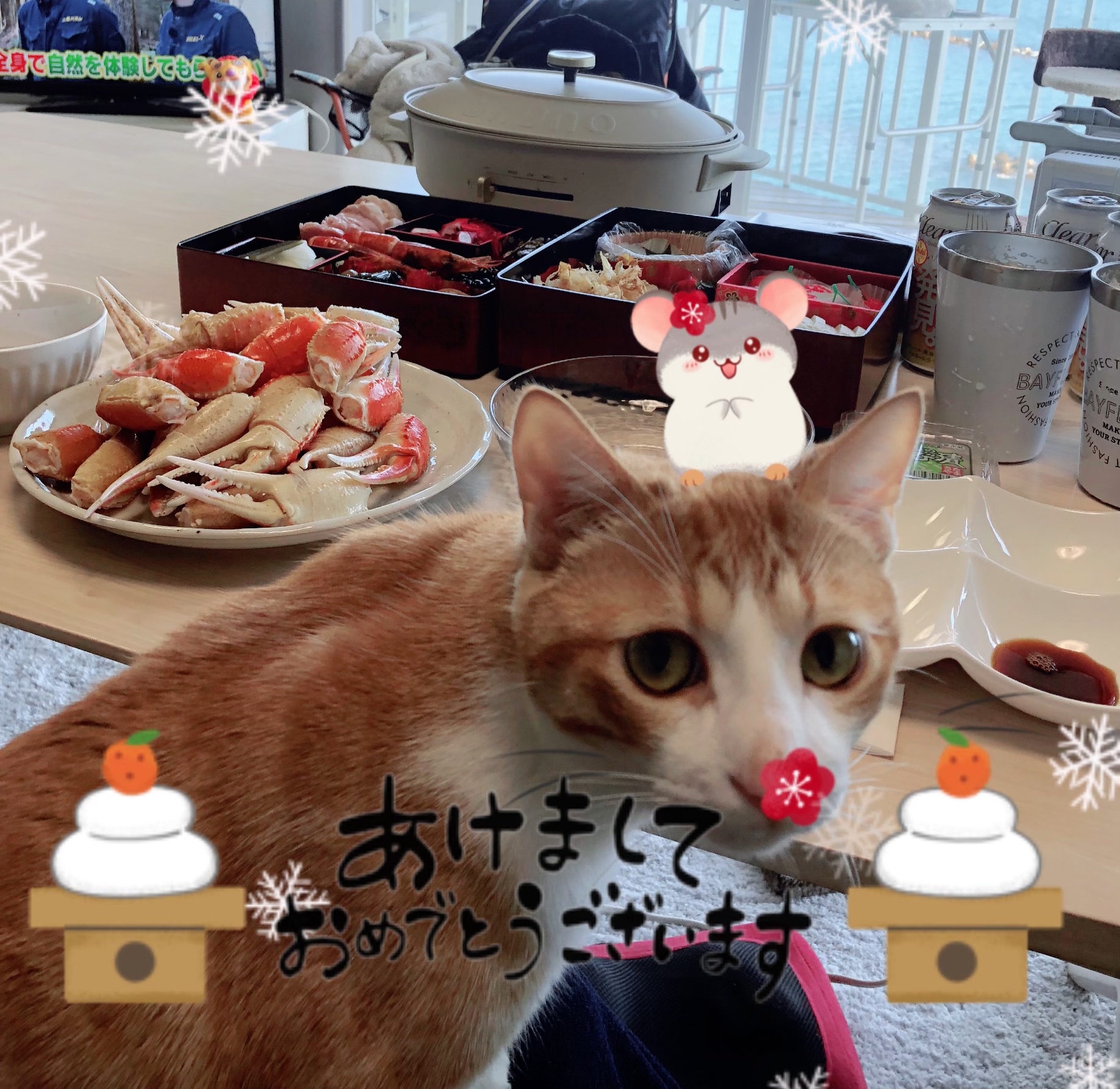 新年のご挨拶* 新年のご挨拶*