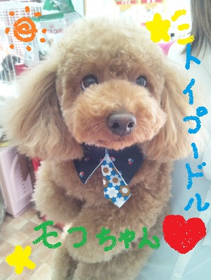 モコちゃん❤LOVE