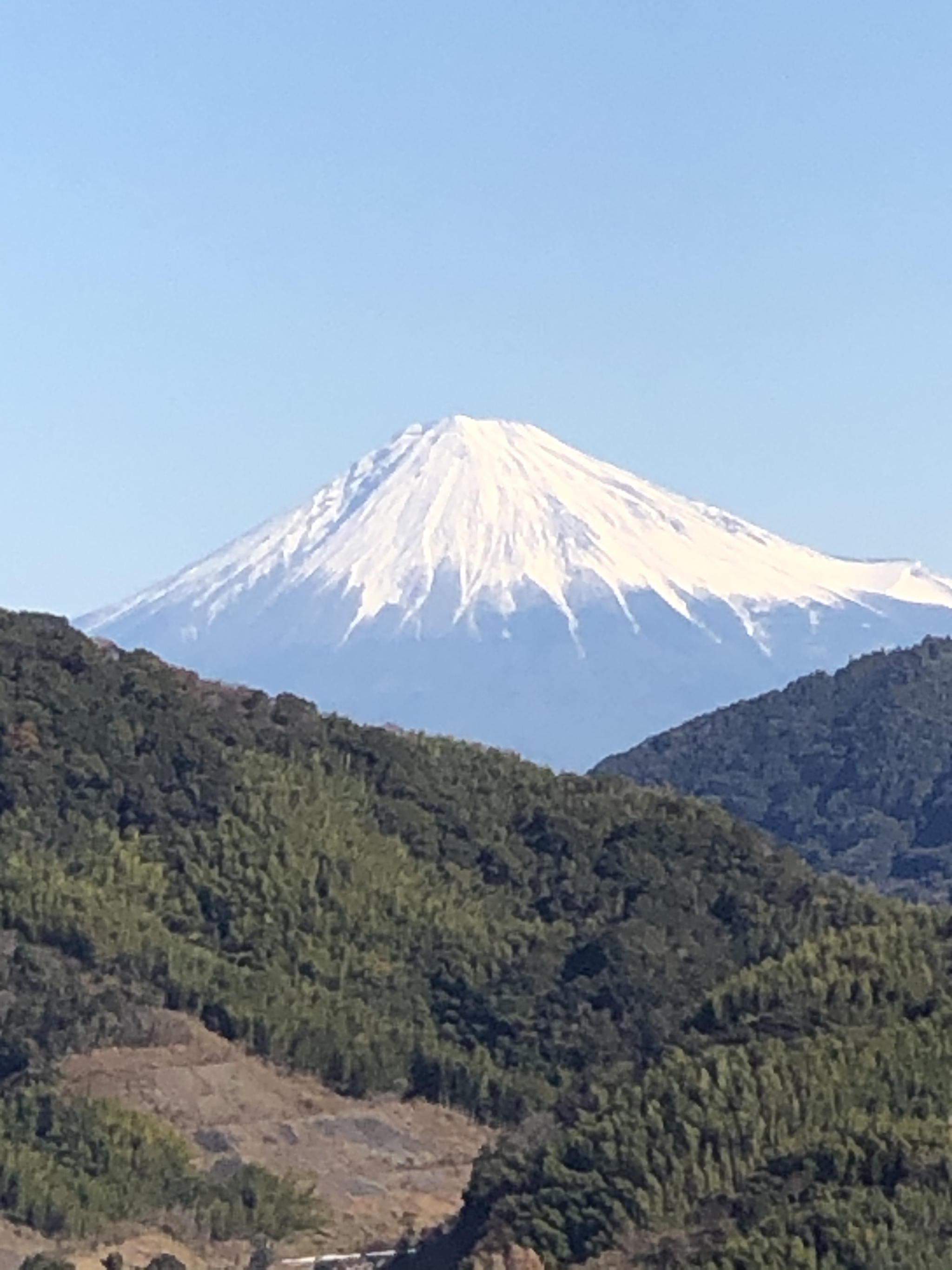 今年もよろしくお願いいたします☆