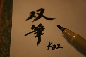 プラチナ筆ペン 双筆
