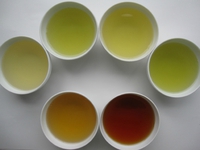 日本茶の水色