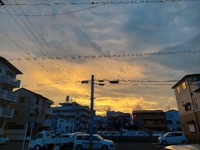 夕焼けきれい　子ども向け図鑑わかりやすい