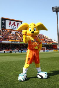 わたしにとってのストレスクリアコーチングとは～エセポジティブのこと～