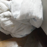 頭隠して尻隠さず!?