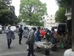 16日（日）第三日曜日フリマ葵市（その1）：5月17日