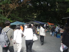 21日（日）第三日曜日フリマ葵市（その1）：11月22日