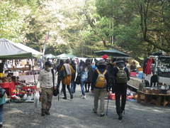 21日（日）第三日曜日フリマ葵市（その1）：11月22日