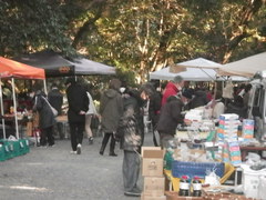 21日（日）第三日曜日フリマ葵市（その1）：11月22日