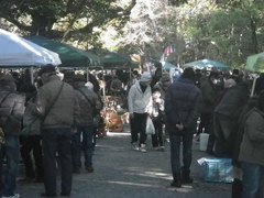 21日（日）第三日曜日フリマ葵市（その1）：11月22日