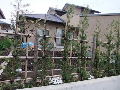 家を育てる楽しみ