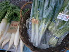 旬の無農薬野菜