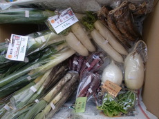 富士宮市内の無農薬野菜