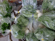 静岡市内の無農薬野菜