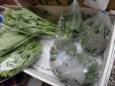 市内から無農薬野菜入荷しました！
