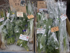 無農薬野菜入荷しました！