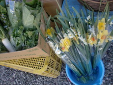 無農薬野菜入荷しました！