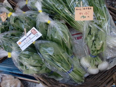 無農薬野菜入荷中！
