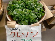 無農薬野菜入荷します！
