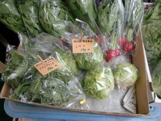無農薬野菜入荷します！
