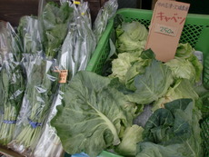 無農薬野菜入荷します！