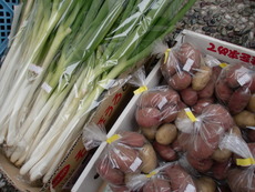 無農薬野菜入荷しました！