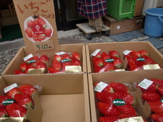 なかじま園のいちご入荷中！