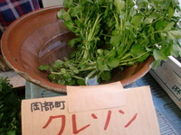 無農薬クレソン入荷中！