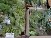 無農薬野菜入荷しました！