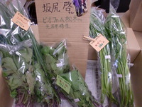 無農薬野菜入荷しました！