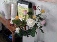 よくなるネットのお花