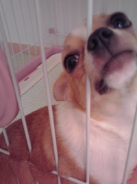 くいこんでます