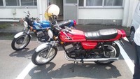 ＧＷ最終日ですね！