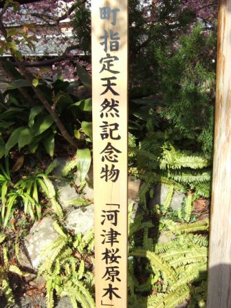 一足早く